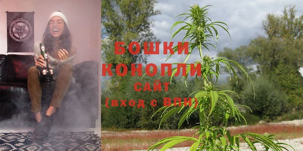 ПСИЛОЦИБИНОВЫЕ ГРИБЫ Нягань