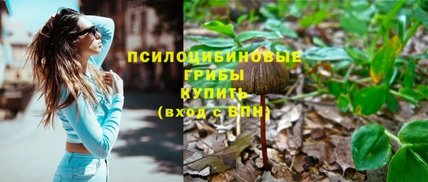 ПСИЛОЦИБИНОВЫЕ ГРИБЫ Нягань