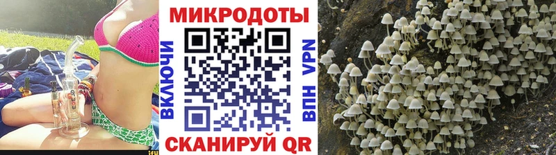 Купить где  Малгобек  Псилоцибиновые грибы Magic Shrooms 